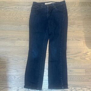 Nine West Vintage American Jeans classic rise straight sz 6p